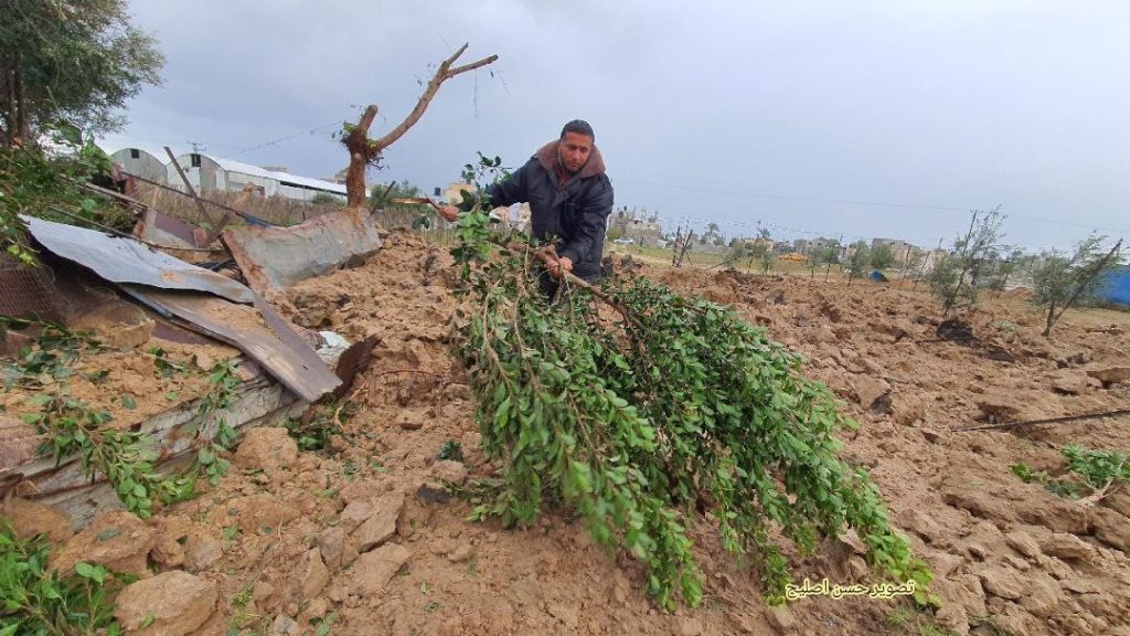 Comment Israël s'est employé à détruire le secteur agricole à Gaza (Vidéo)