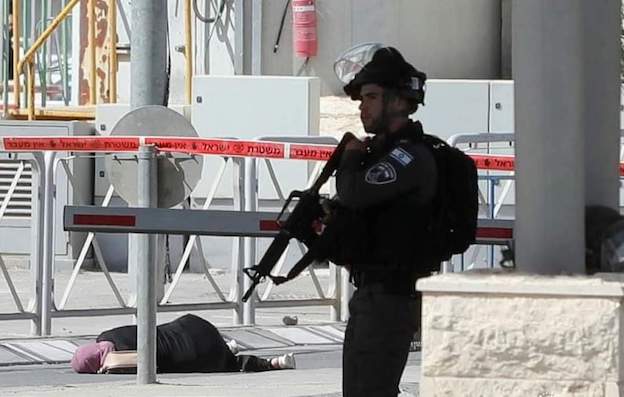 Ibtisam, 27 ans, tuée à un checkpoint en Palestine occupée