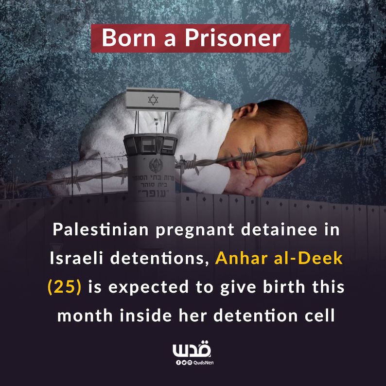 Libérez Anhar Al-Deek sur le point d'accoucher dans une prison israélienne