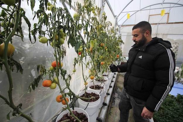 L'armée israélienne lance des gaz lacrymogènes dans un camp de réfugiés, détruisant le jardin hydroponique sur le toit d'un centre de jeunesse