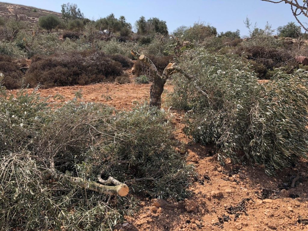 Bilan des crimes israéliens en Palestine occupée du 3 au 9 mars