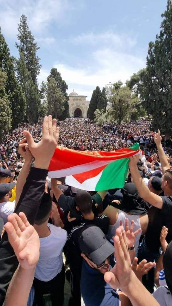 L'armée israélienne recule devant les Palestiniens déterminés à aller prier à al-Aqsa (Vidéo)