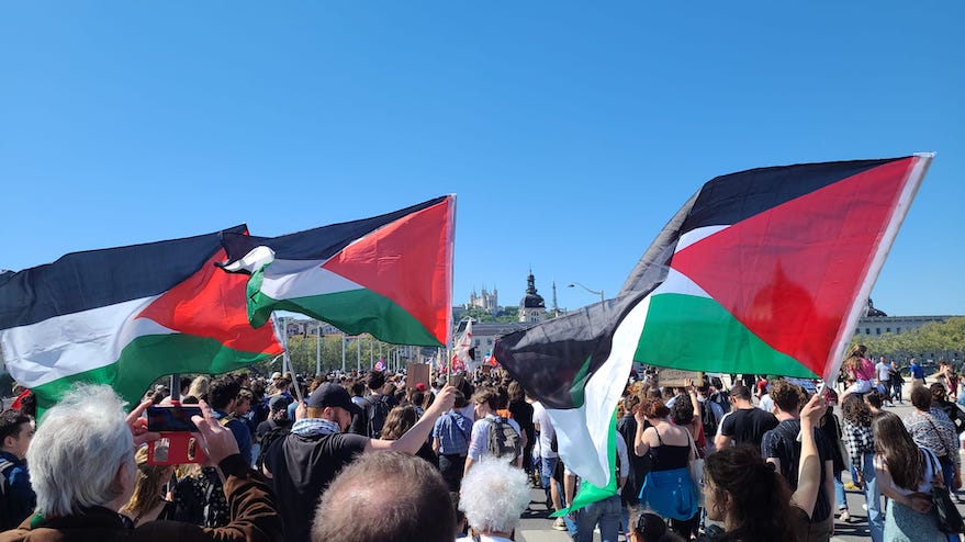 La Palestine en vue à Lyon contre la dissolution d'une association anti-fasciste