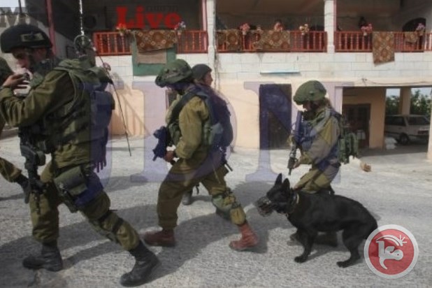 L'occupant lâche ses chiens sur les Palestiniens (Vidéo)