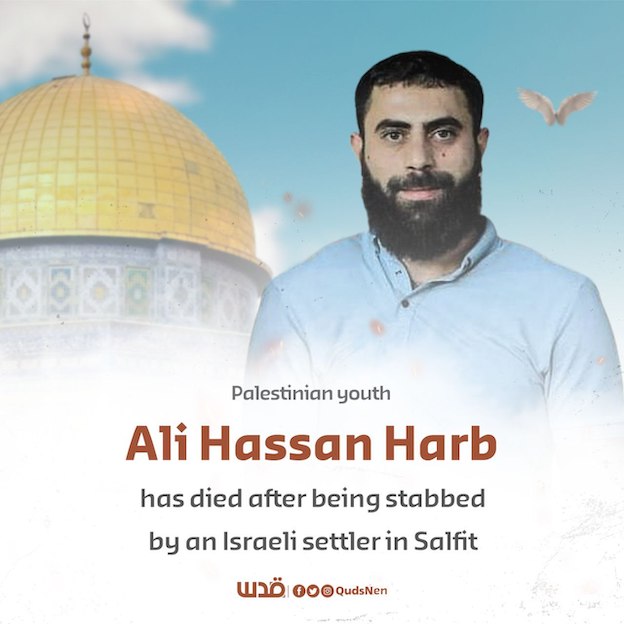Ali Harb assassiné par un colon à Salfit