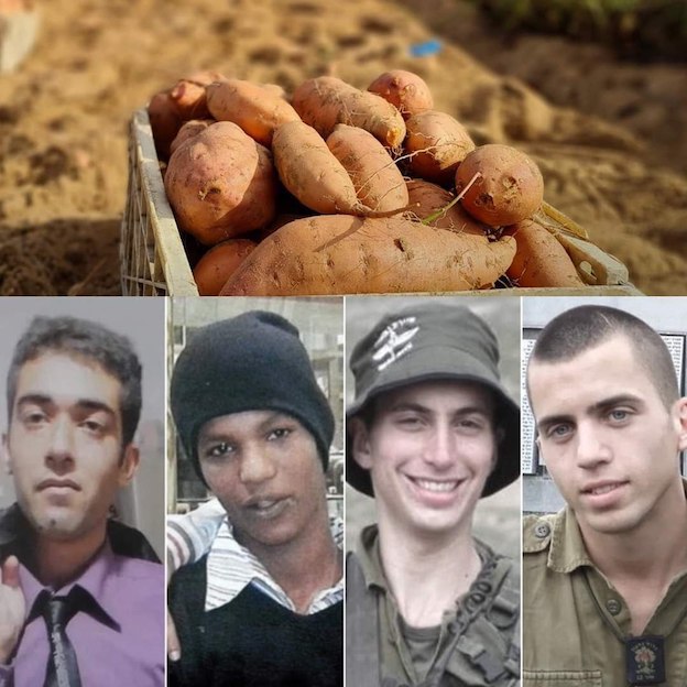 Patates douces contre soldats israéliens !