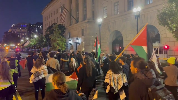 Manifestation à Washington contre le financement d'Israel par les USA