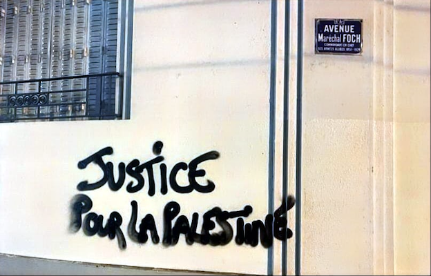 Lyon : Personne ne peut censurer ou occulter la Palestine...