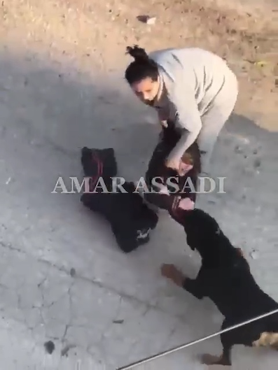 Un colon lâche son chien sur un enfant et une femme, à Hébron (Vidéo)