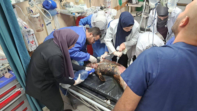 Halte a génocide du peuple palestinien !
