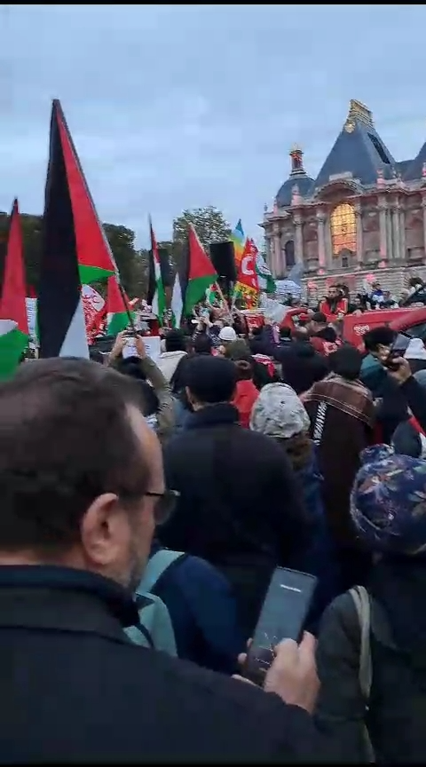 Rassemblement de soutien à la Palestine à Lille