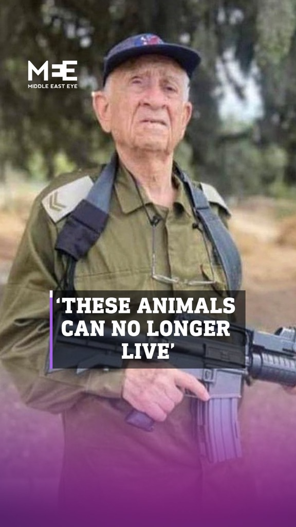 Un réserviste israélien appelle à effacer tous "ces animaux palestiniens" (vidéo)