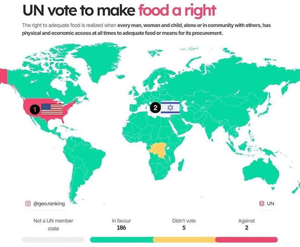 Vote de l'ONU : l'alimentation est un droit garanti à l'homme...