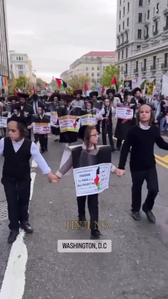 Manifestation massive de juifs orthodoxes en soutien aux Palestiniens à Washington (Vidéo)