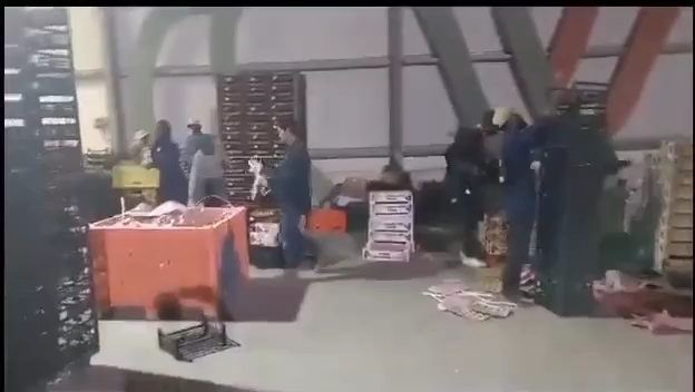 Le double jeu du gouvernement turc