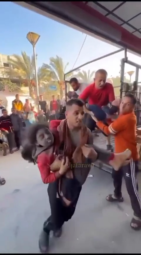 Gaza résiste malgré tout