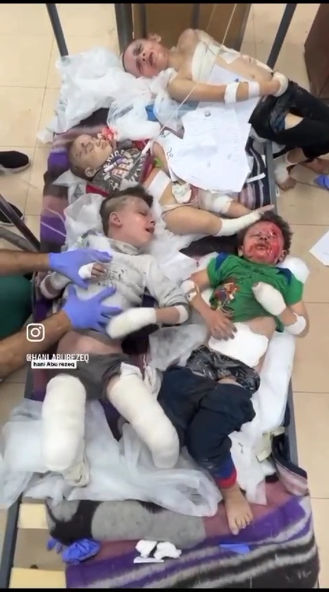 Gaza : le carnage israélien continue, mais la résistance aussi ! (Vidéos)
