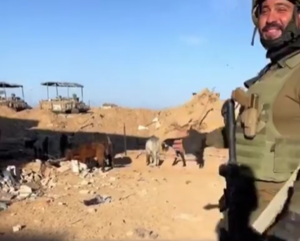 "Les animaux sont les seuls civils à Gaza", paroles de soldat israélien