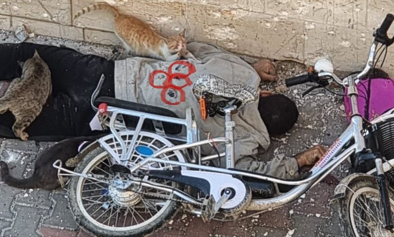 Gaza : Silence, on tue !