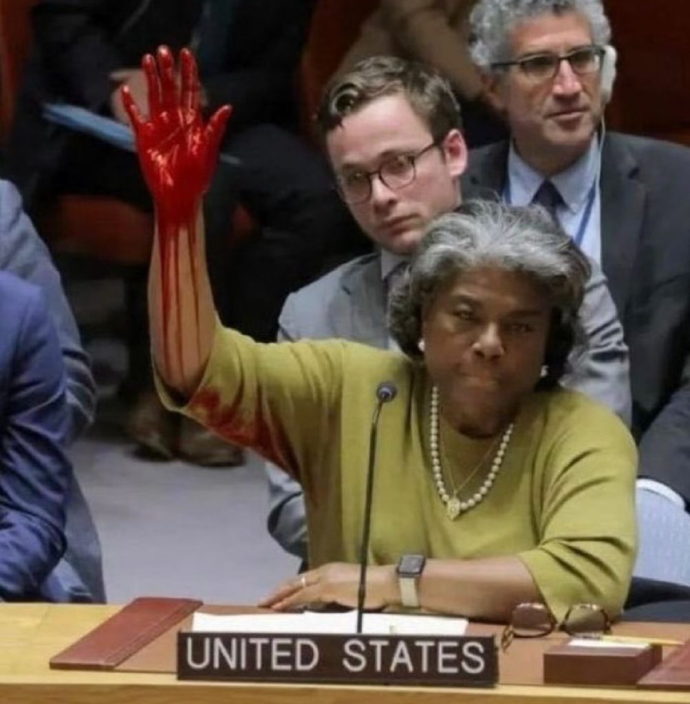 À l'ONU, "Genocide Joe" oppose son véto à une demande de cessez-le-feu