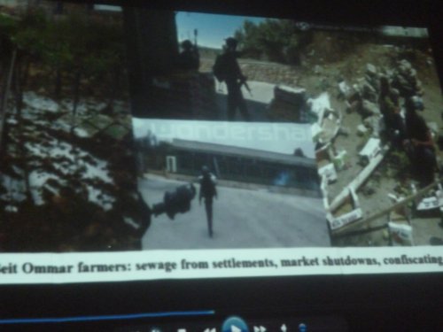 beit_ommar_librairei_sewage_colonies.jpg