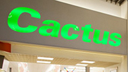 cactus2_small.jpg