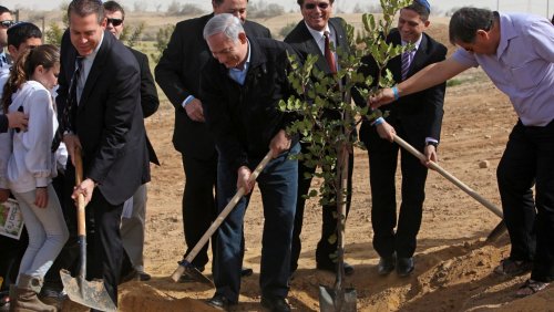 colonies_netanyahou_plante_un_arbre.jpg