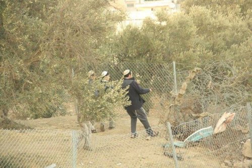 colons_arrachent_cloture_palestinienne.jpg