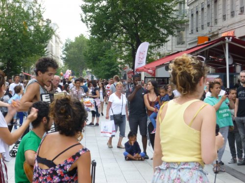 concert_lyon_foule.jpg