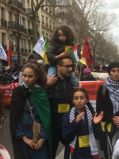 corte_ge_palestine_1.jpg
