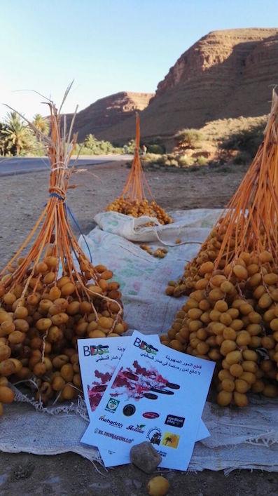 dattes_bds_maroc.jpg