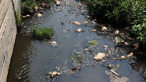 de_chets_source_pollue_e_par_colons.jpg
