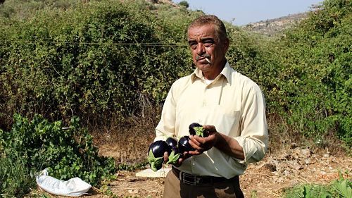 dechets_jamal_hammad_salfit.jpg