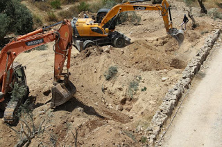 destruction_oliviers_beit_jala_bis.jpg