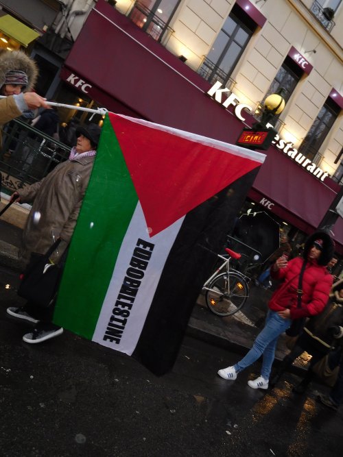 drapeau_europalestine.jpg