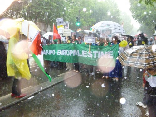 europal_et_pancartes.jpg