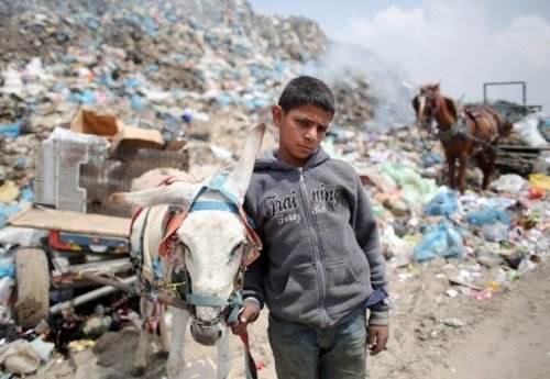 gaza_afp_enfant_ane_ordures.jpg