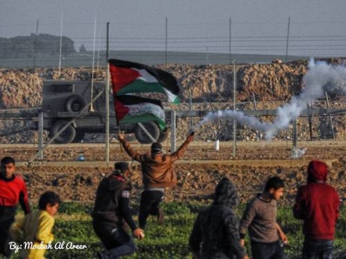 gaza_jeep_drapeaux.jpg