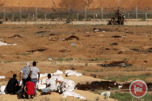 gaza_lundi.jpg