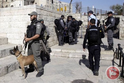 hebron_fouille_avec_chiens.jpg