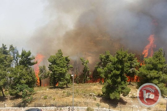 incendies_colons_naplouse.jpg