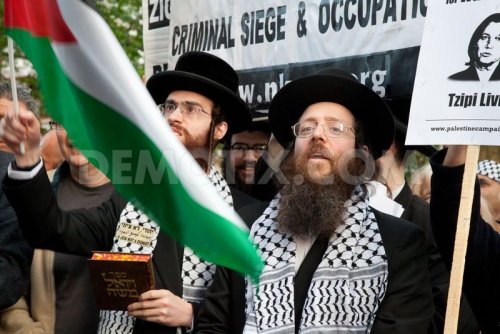 juifs_orthodoxes_soutien_palestinine_drapeau.jpg
