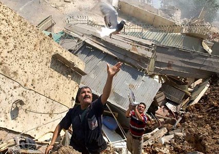 liban_2006-2.jpg