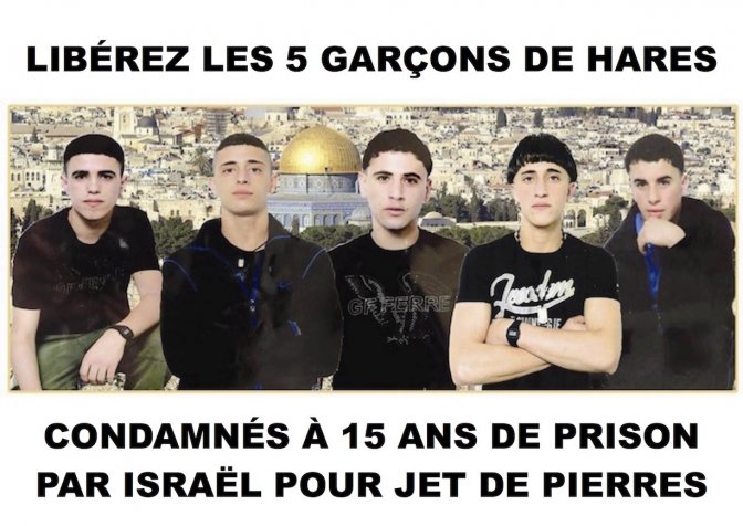 libe_rez_les_5_de_hares.jpg