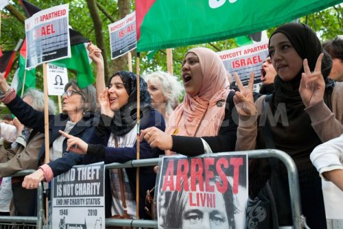 manif_contre_livni_femmes_voile_es.jpg