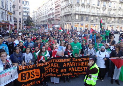 manif_lyon_31_oct.jpg