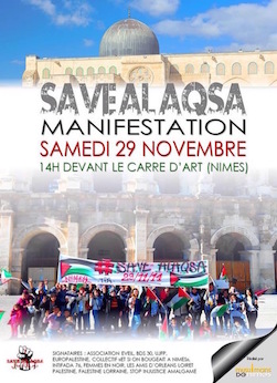 manif_nimes_29_nov_re_duit.jpg