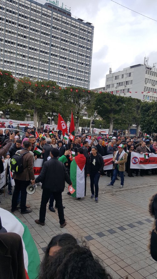 manif_tunis_palestine.jpg