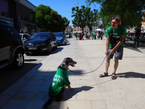 me_me_les_chiens_boycottent.jpg