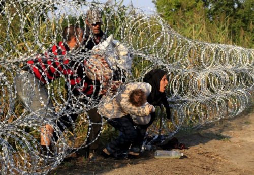 migrants_barbele_s_be_be_s.jpg